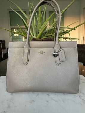 Coach Bailey Carryall 24218 NWOT Grey